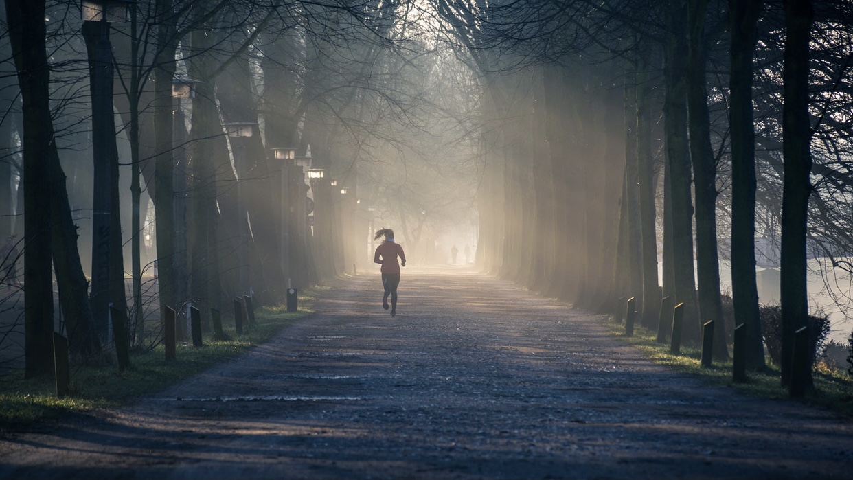 Person running near street between tall trees (photo by Philip Ackermann from Pexels)