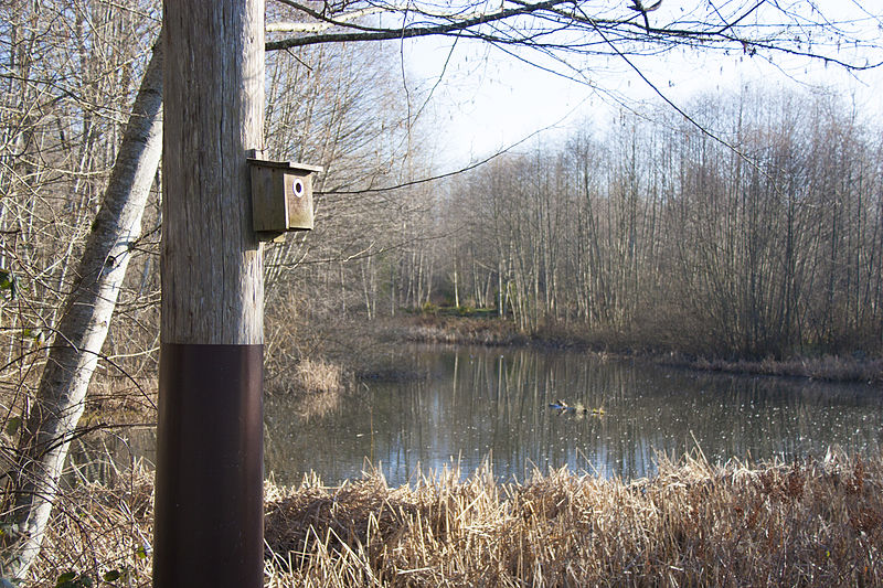 Maplewood Flat Conservation Area