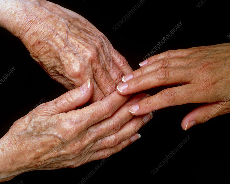 Young hand touching elderly hands