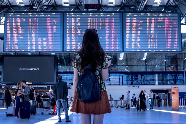 Airport chart of planes delayed or cancelled