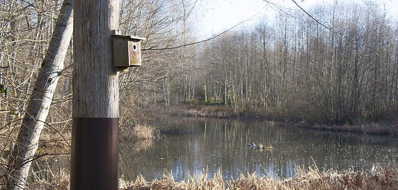 Maplewood Flat Conservation Area